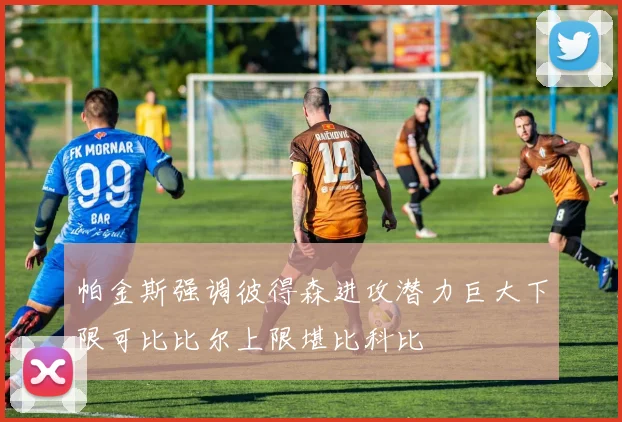 帕金斯强调彼得森进攻潜力巨大下限可比比尔上限堪比科比